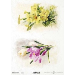 Ryžinis popierius ITD A4